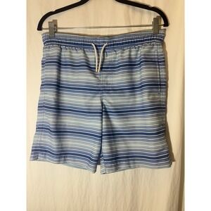 Southern Tide Swim Trunk Shorts Bottom Mens‎ Large Blue Striped V34